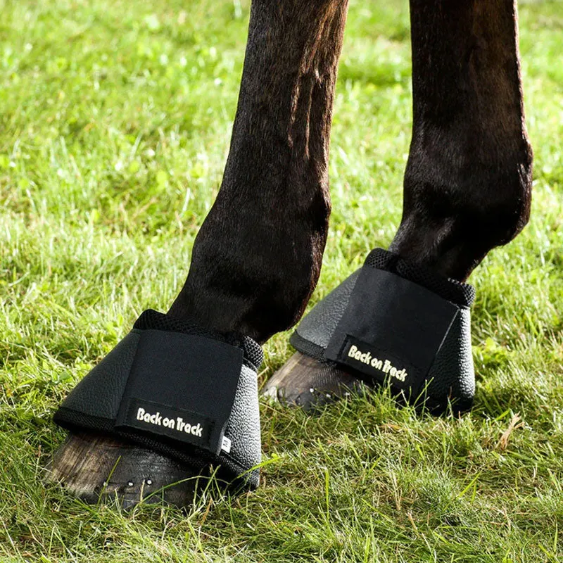 Back On Track - Cloches chevaux